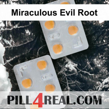 Miraculous Evil Root 066