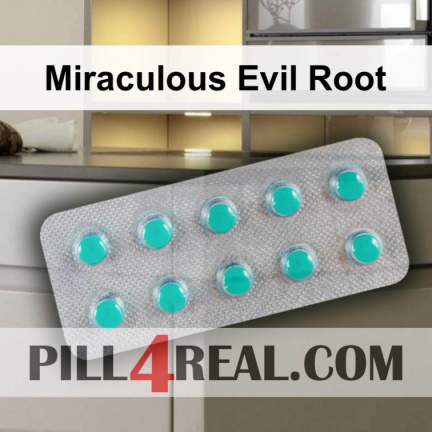 Miraculous Evil Root 211