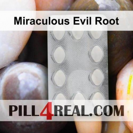 Miraculous Evil Root 228