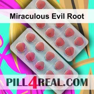 Miraculous Evil Root 379