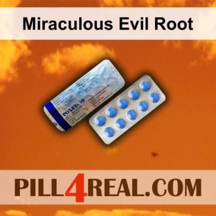Miraculous Evil Root 769