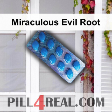 Miraculous Evil Root 884