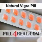 Natural Vigra Pill 731
