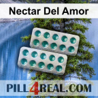 Nectar Del Amor 092