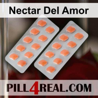 Nectar Del Amor 152