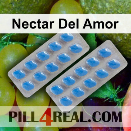 Nectar Del Amor 161