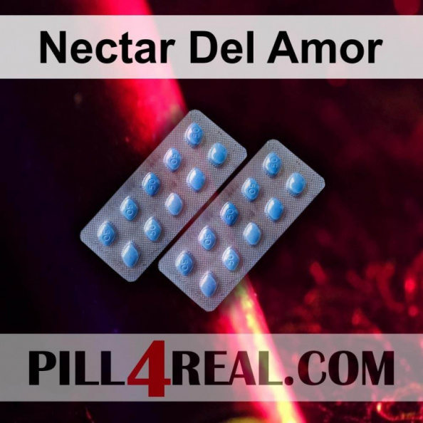 Nectar Del Amor 182