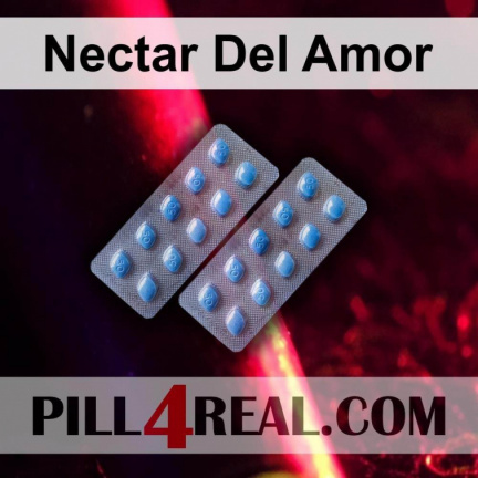 Nectar Del Amor 182