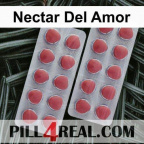 Nectar Del Amor 241