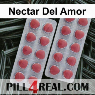 Nectar Del Amor 241