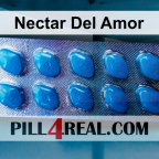 Nectar Del Amor 338