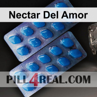 Nectar Del Amor 422
