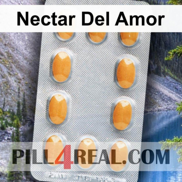 Nectar Del Amor 469