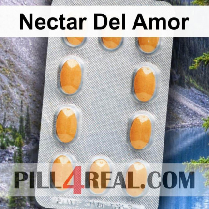 Nectar Del Amor 469