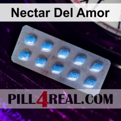 Nectar Del Amor 532