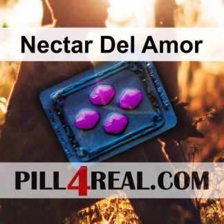 Nectar Del Amor 679