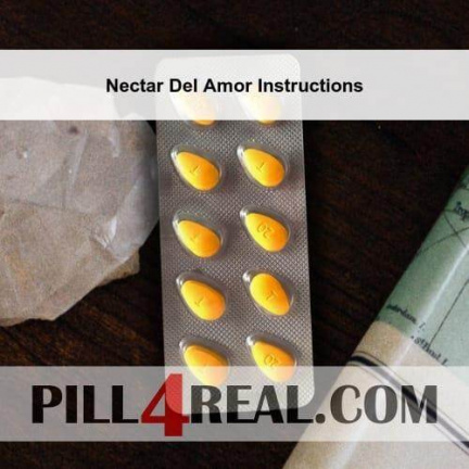 Nectar Del Amor Instructions 604