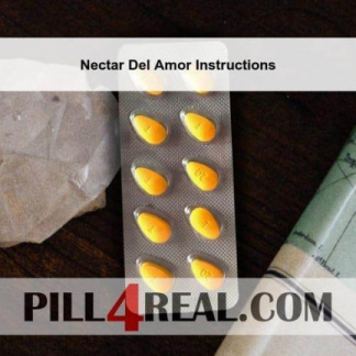 Nectar Del Amor Instructions 604