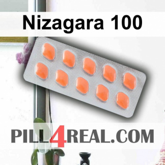 Nizagara 100 137