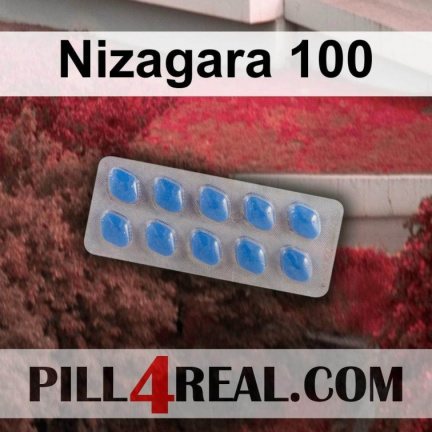 Nizagara 100 167
