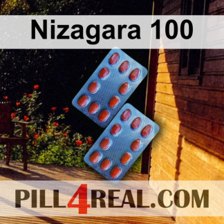 Nizagara 100 223
