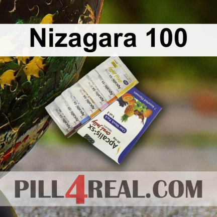 Nizagara 100 287