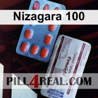 Nizagara 100 446