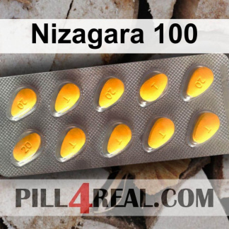 Nizagara 100 452