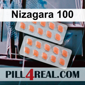 Nizagara 100 660