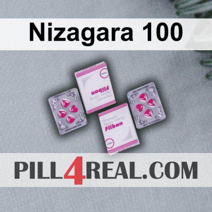 Nizagara 100 714