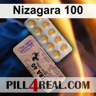 Nizagara 100 877