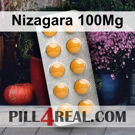 Nizagara 100Mg 018