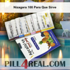 Nizagara 100 Para Que Sirve 293