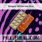Nizagara 100 Para Que Sirve 313