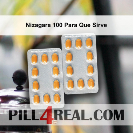 Nizagara 100 Para Que Sirve 317