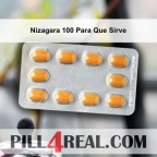 Nizagara 100 Para Que Sirve 605