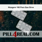 Nizagara 100 Para Que Sirve 871