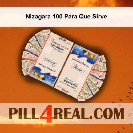 Nizagara 100 Para Que Sirve 902