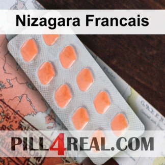Nizagara Francais 429