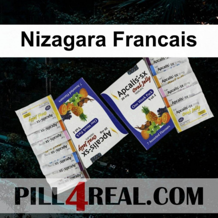 Nizagara Francais 517