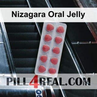 Nizagara Oral Jelly 206