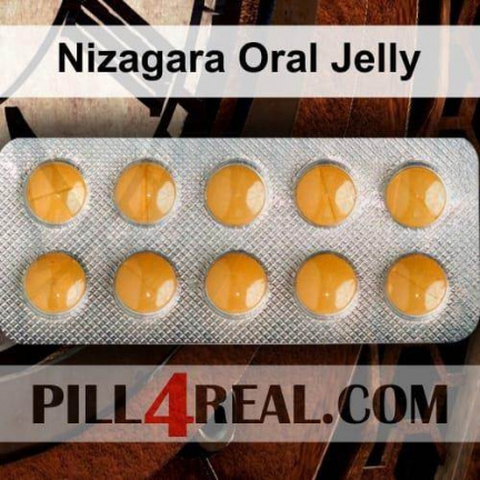 Nizagara Oral Jelly 560