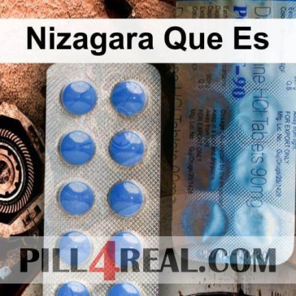 Nizagara Que Es 040