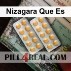 Nizagara Que Es 067
