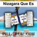 Nizagara Que Es 240