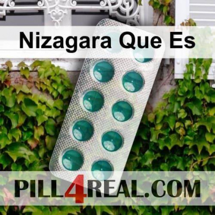 Nizagara Que Es 784