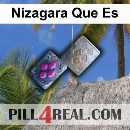 Nizagara Que Es 879