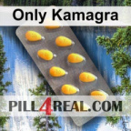 Only Kamagra 417