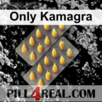 Only Kamagra 480