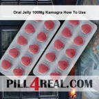 Oral Jelly 100Mg Kamagra How To Use 020